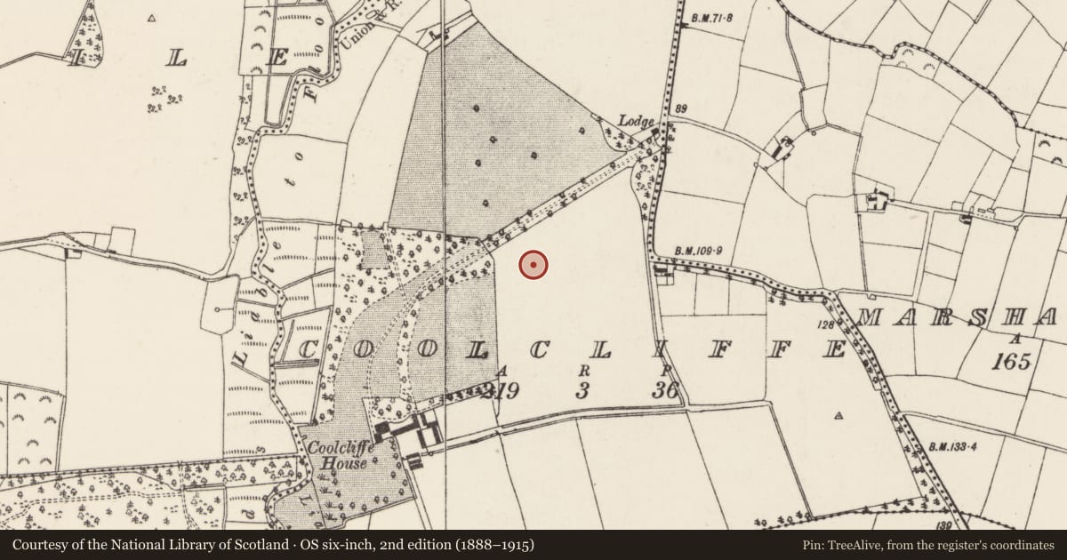 Ordnance Survey six-inch map, 2nd edition (1888–1915) covering the location of Enclosure, Coolcliffe, County Wexford, with a pin at the register's coordinates