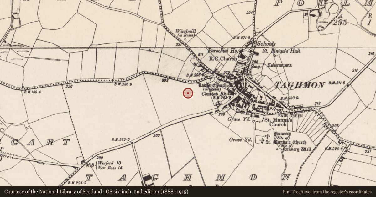 Ordnance Survey six-inch map, 2nd edition (1888–1915) covering the location of Kiln - corn-drying, Taghmon, County Wexford, with a pin at the register's coordinates
