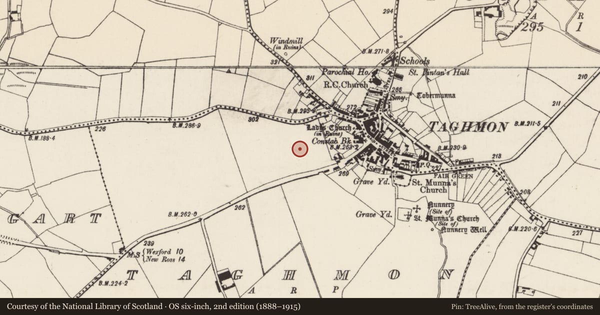 Ordnance Survey six-inch map, 2nd edition (1888–1915) covering the location of Habitation site, Taghmon, County Wexford, with a pin at the register's coordinates