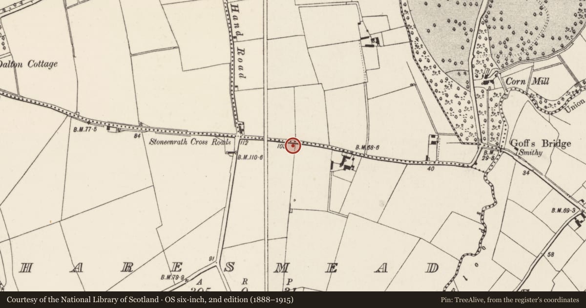 Ordnance Survey six-inch map, 2nd edition (1888–1915) covering the location of Battlefield, Haresmead, Horetown South, County Wexford, with a pin at the register's coordinates