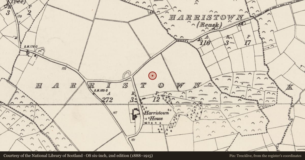 Ordnance Survey six-inch map, 2nd edition (1888–1915) covering the location of Furnace, Harristown, County Wexford, with a pin at the register's coordinates