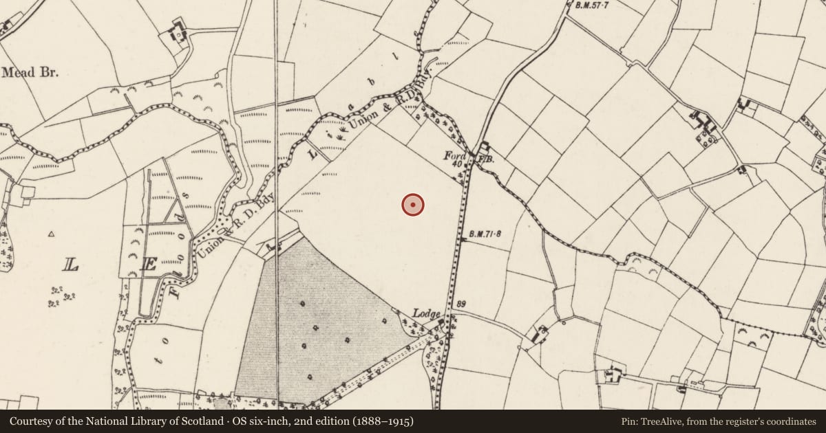 Ordnance Survey six-inch map, 2nd edition (1888–1915) covering the location of Ring-ditch, Coolcliffe, County Wexford, with a pin at the register's coordinates