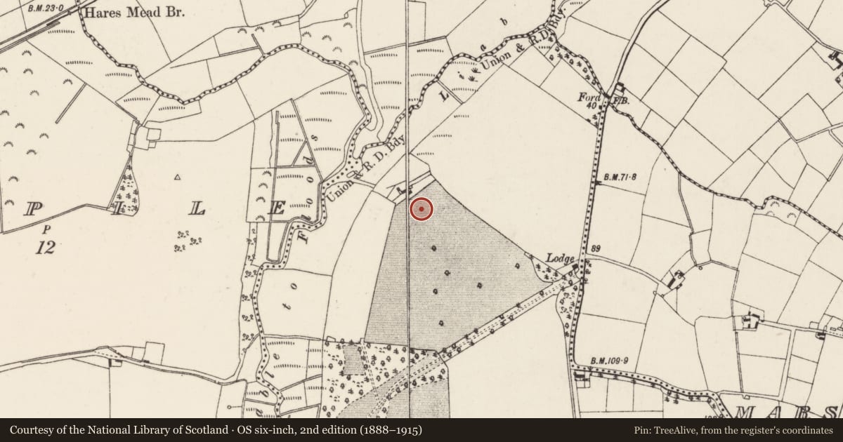 Ordnance Survey six-inch map, 2nd edition (1888–1915) covering the location of Enclosure, Coolcliffe, County Wexford, with a pin at the register's coordinates