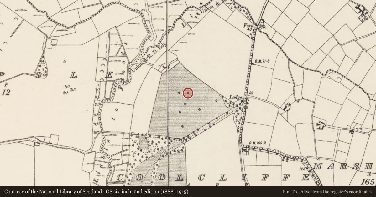 Ordnance Survey six-inch map, 2nd edition (1888–1915) covering the location of Ring-ditch, Coolcliffe, County Wexford, with a pin at the register's coordinates