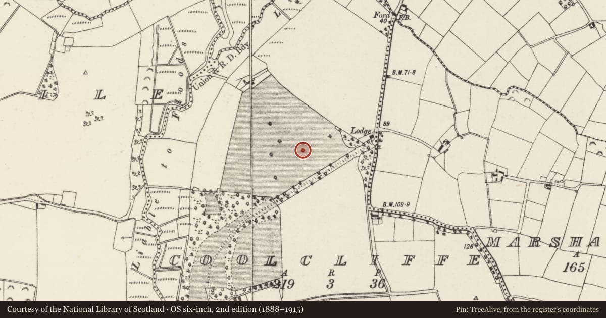 Ordnance Survey six-inch map, 2nd edition (1888–1915) covering the location of Ring-ditch, Coolcliffe, County Wexford, with a pin at the register's coordinates