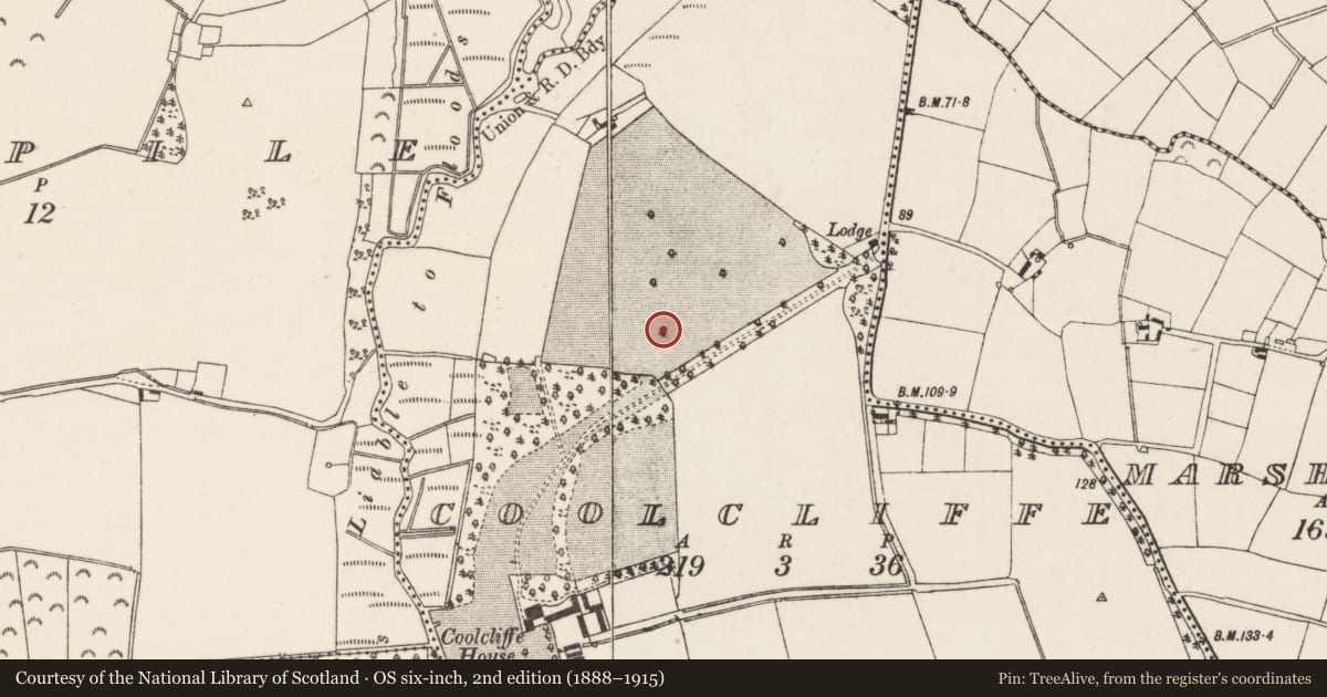 Ordnance Survey six-inch map, 2nd edition (1888–1915) covering the location of Ring-ditch, Coolcliffe, County Wexford, with a pin at the register's coordinates