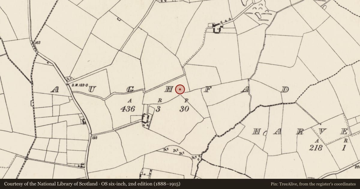 Ordnance Survey six-inch map, 2nd edition (1888–1915) covering the location of Enclosure, Aughfad, County Wexford, with a pin at the register's coordinates