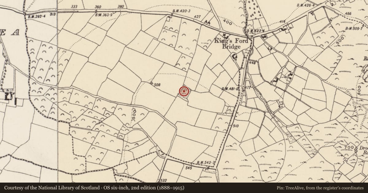 Ordnance Survey six-inch map, 2nd edition (1888–1915) covering the location of Moated site, Cools, County Wexford, with a pin at the register's coordinates