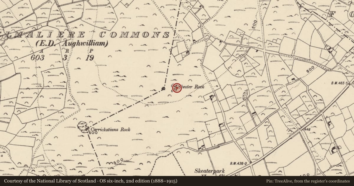 Ordnance Survey six-inch map, 2nd edition (1888–1915) covering the location of Cairn - burial cairn, Bargy Commons, County Wexford, with a pin at the register's coordinates