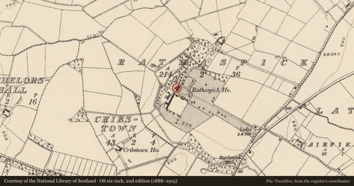 Ordnance Survey six-inch map, 2nd edition (1888–1915) covering the location of Castle - unclassified, Rathaspick, County Wexford, with a pin at the register's coordinates