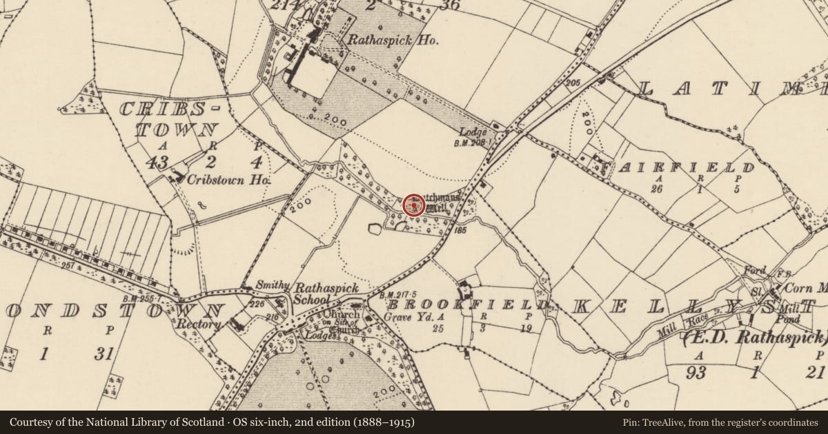 Ordnance Survey six-inch map, 2nd edition (1888–1915) covering the location of Ritual site - holy well, Rathaspick, County Wexford, with a pin at the register's coordinates