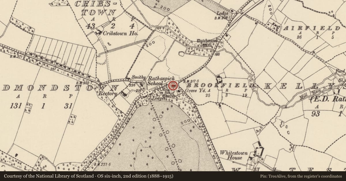 Ordnance Survey six-inch map, 2nd edition (1888–1915) covering the location of Church, Rathaspick, County Wexford, with a pin at the register's coordinates