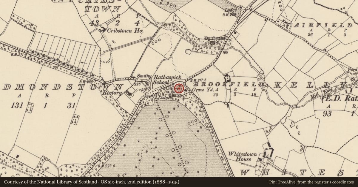 Ordnance Survey six-inch map, 2nd edition (1888–1915) covering the location of Graveyard, Rathaspick, County Wexford, with a pin at the register's coordinates