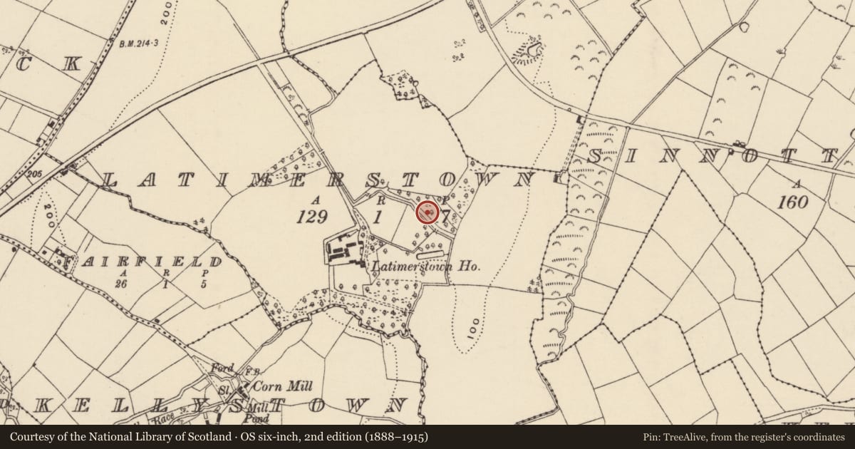 Ordnance Survey six-inch map, 2nd edition (1888–1915) covering the location of Castle - unclassified, Latimerstown, County Wexford, with a pin at the register's coordinates