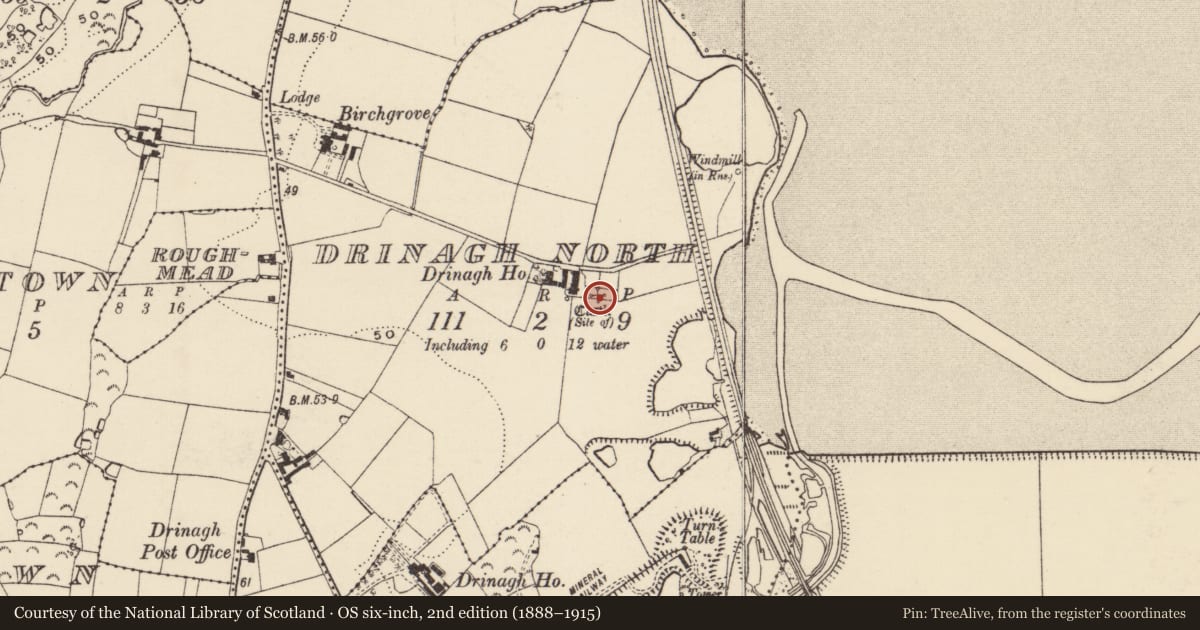 Ordnance Survey six-inch map, 2nd edition (1888–1915) covering the location of Castle - unclassified, Drinagh North, County Wexford, with a pin at the register's coordinates