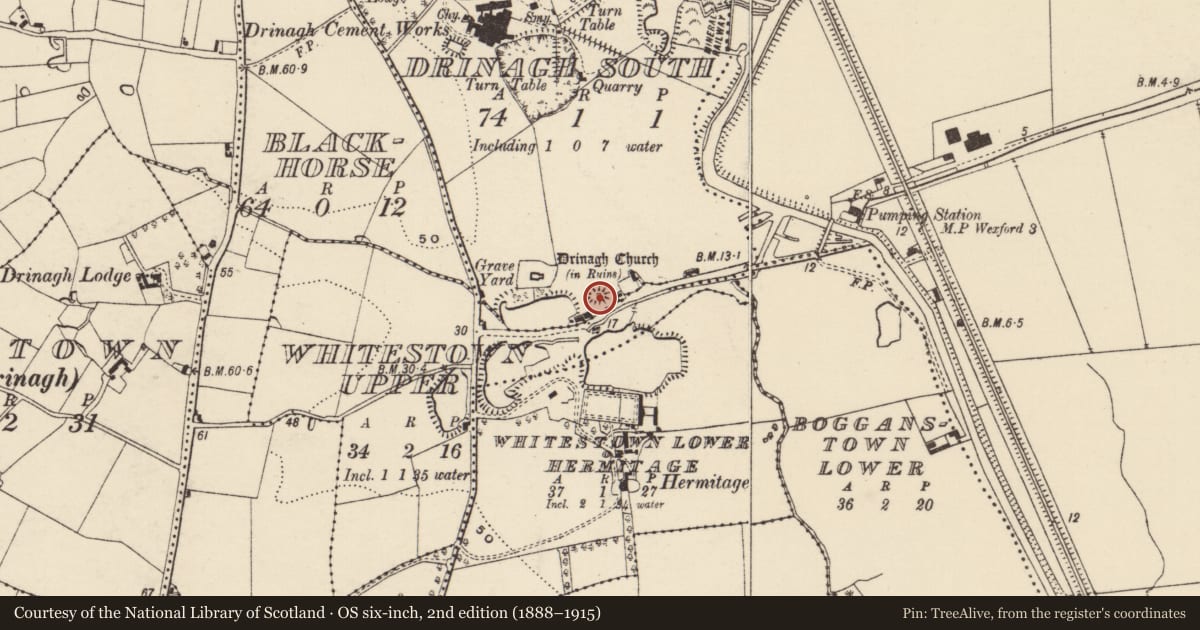Ordnance Survey six-inch map, 2nd edition (1888–1915) covering the location of Mound, Drinagh South, County Wexford, with a pin at the register's coordinates