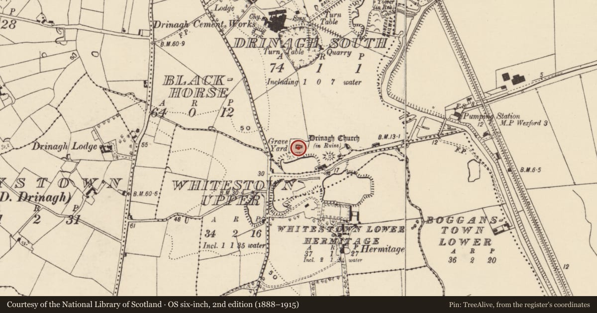 Ordnance Survey six-inch map, 2nd edition (1888–1915) covering the location of Font, Drinagh South, County Wexford, with a pin at the register's coordinates