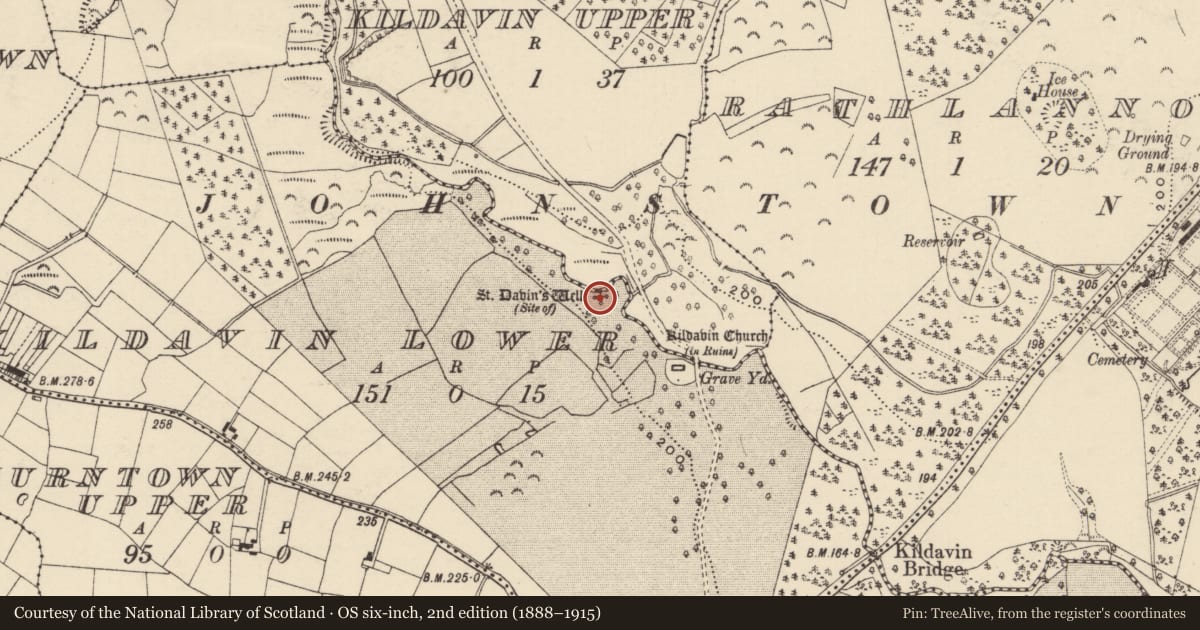 Ordnance Survey six-inch map, 2nd edition (1888–1915) covering the location of Ritual site - holy well, Kildavin Lower, County Wexford, with a pin at the register's coordinates