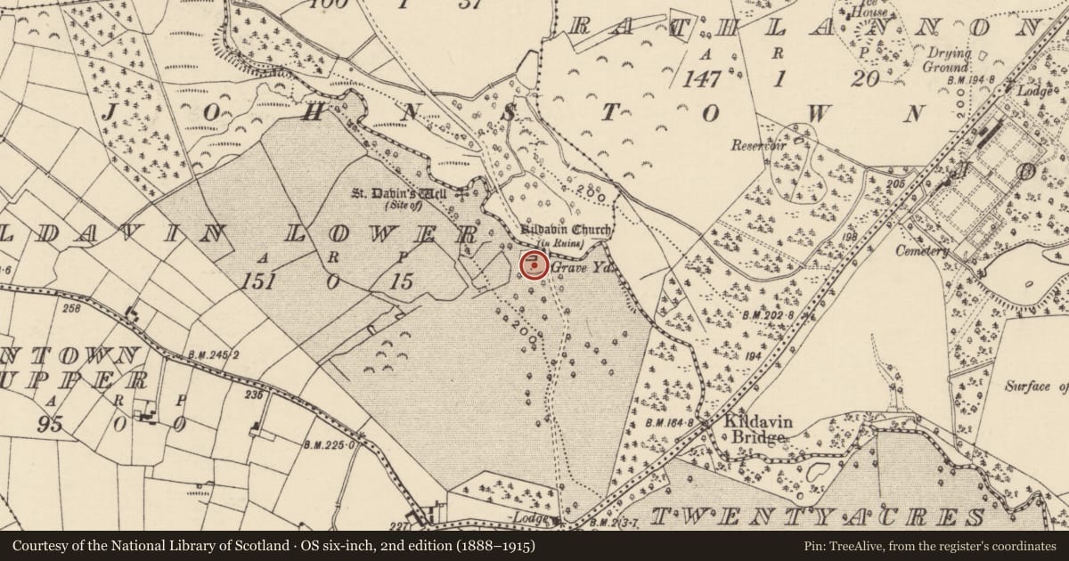 Ordnance Survey six-inch map, 2nd edition (1888–1915) covering the location of Graveyard, Kildavin Lower, County Wexford, with a pin at the register's coordinates