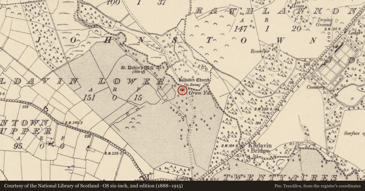 Ordnance Survey six-inch map, 2nd edition (1888–1915) covering the location of Font, Kildavin Lower, County Wexford, with a pin at the register's coordinates