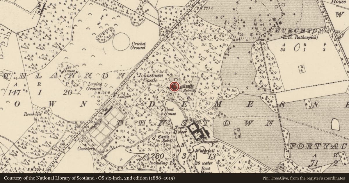 Ordnance Survey six-inch map, 2nd edition (1888–1915) covering the location of Castle - tower house, Johnstown, County Wexford, with a pin at the register's coordinates