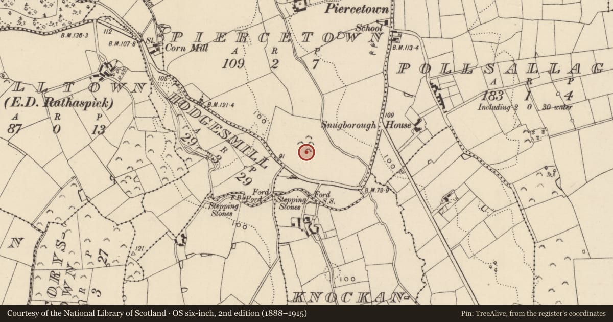 Ordnance Survey six-inch map, 2nd edition (1888–1915) covering the location of Mound, Piercetown, County Wexford, with a pin at the register's coordinates