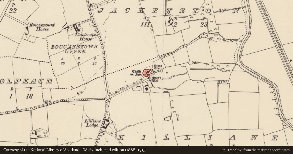Ordnance Survey six-inch map, 2nd edition (1888–1915) covering the location of Castle - tower house, Killiane, County Wexford, with a pin at the register's coordinates
