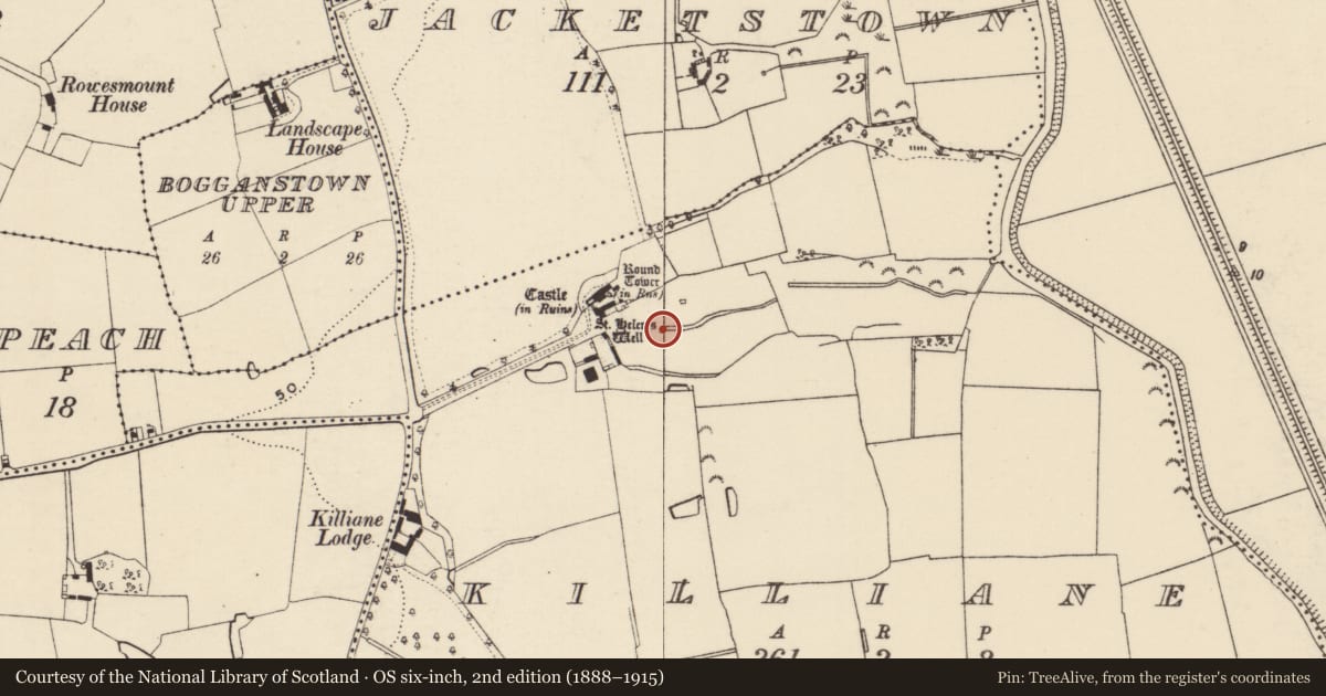 Ordnance Survey six-inch map, 2nd edition (1888–1915) covering the location of Ritual site - holy well, Killiane, County Wexford, with a pin at the register's coordinates