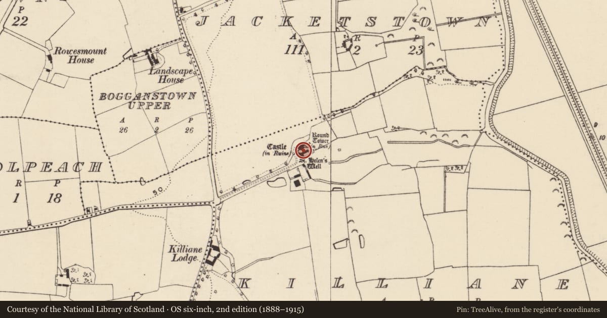Ordnance Survey six-inch map, 2nd edition (1888–1915) covering the location of Bawn, Killiane, County Wexford, with a pin at the register's coordinates