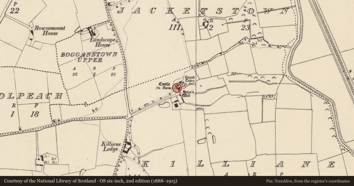 Ordnance Survey six-inch map, 2nd edition (1888–1915) covering the location of Gateway, Killiane, County Wexford, with a pin at the register's coordinates