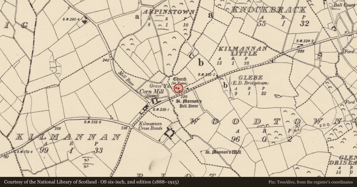 Ordnance Survey six-inch map, 2nd edition (1888–1915) covering the location of Church, Glebe, County Wexford, with a pin at the register's coordinates