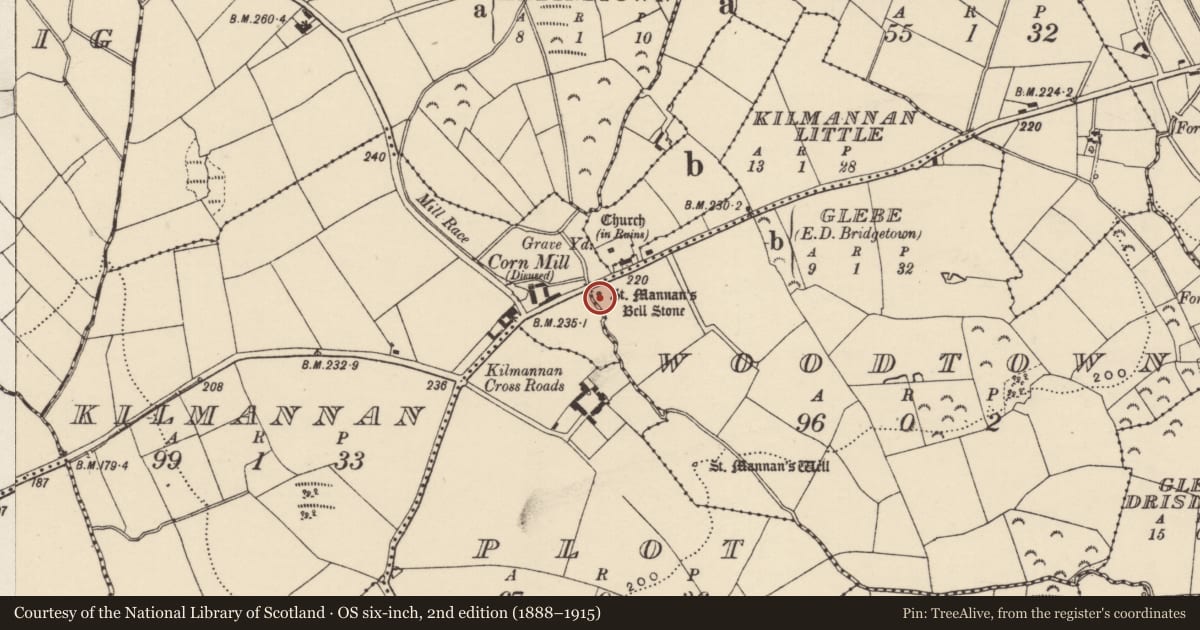 Ordnance Survey six-inch map, 2nd edition (1888–1915) covering the location of Bullaun stone, Woodtown, County Wexford, with a pin at the register's coordinates