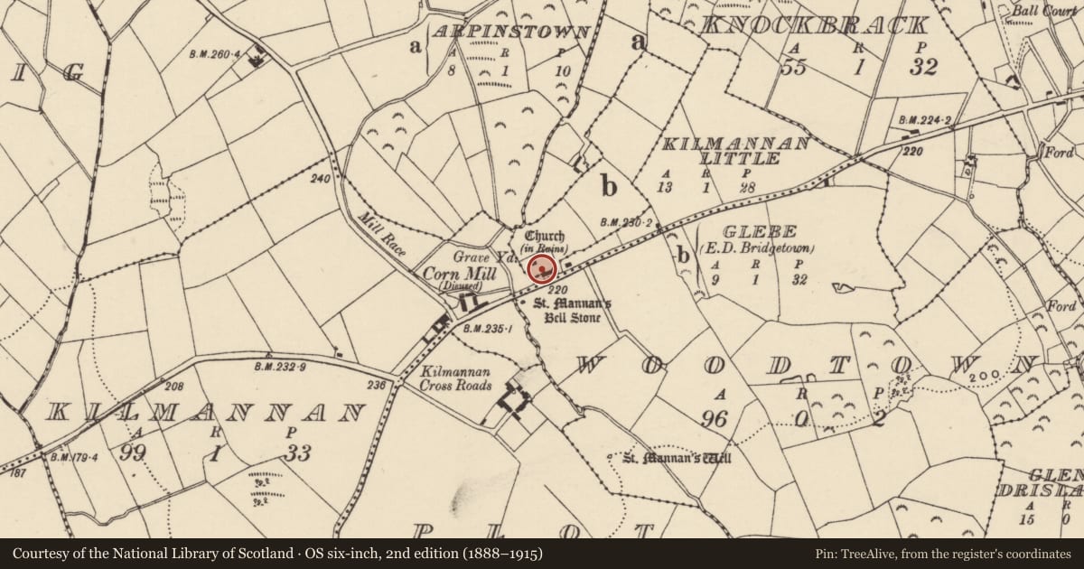 Ordnance Survey six-inch map, 2nd edition (1888–1915) covering the location of Graveyard, Glebe, County Wexford, with a pin at the register's coordinates