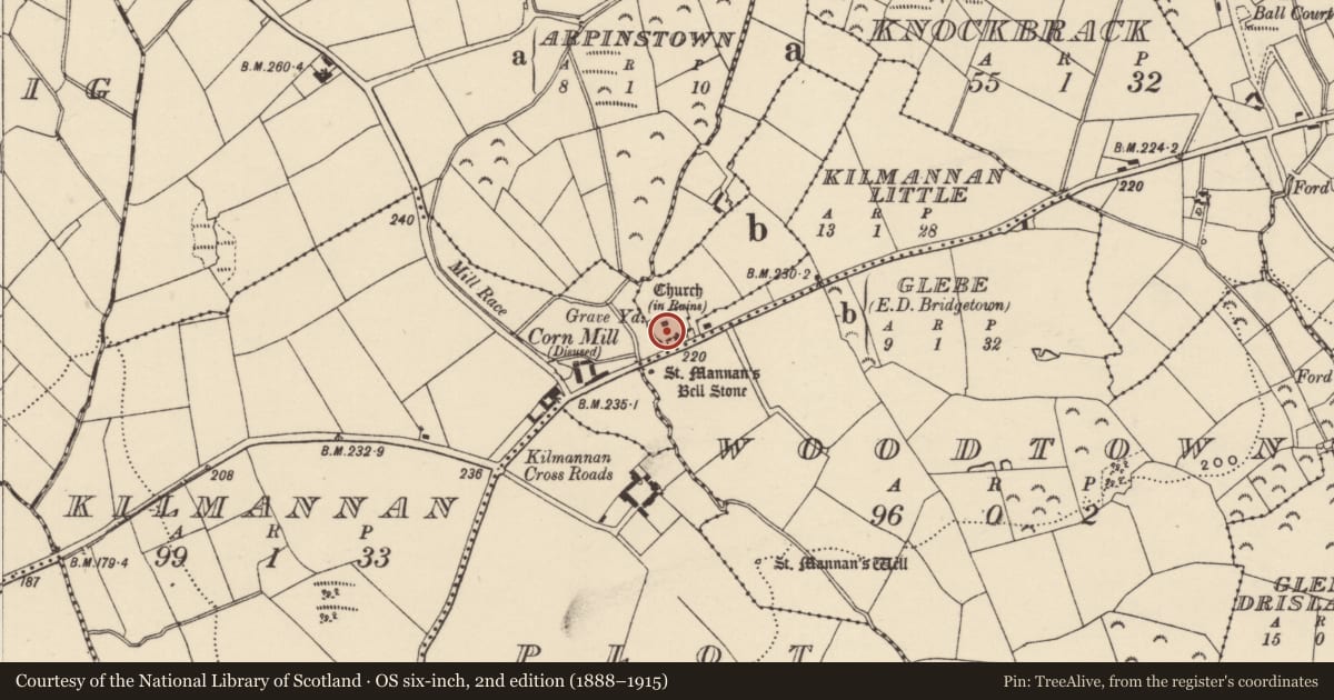 Ordnance Survey six-inch map, 2nd edition (1888–1915) covering the location of Cross, Glebe, County Wexford, with a pin at the register's coordinates