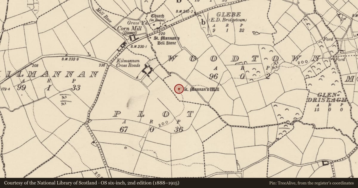 Ordnance Survey six-inch map, 2nd edition (1888–1915) covering the location of Ritual site - holy well, Woodtown, County Wexford, with a pin at the register's coordinates