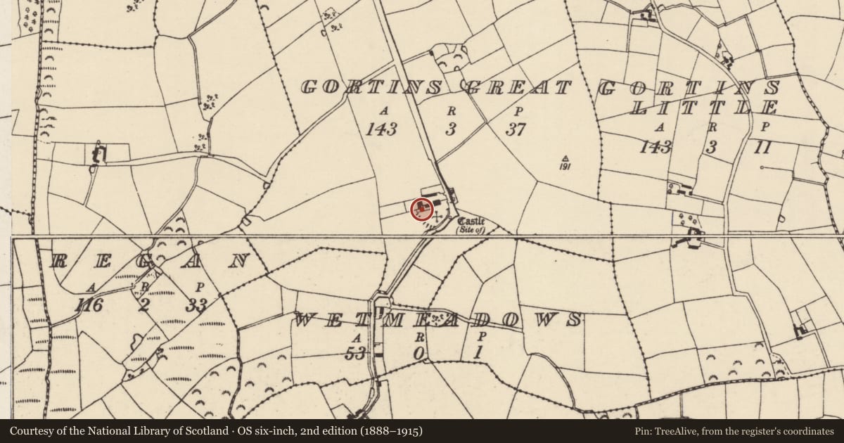 Ordnance Survey six-inch map, 2nd edition (1888–1915) covering the location of Castle - unclassified, Gortins Great, County Wexford, with a pin at the register's coordinates