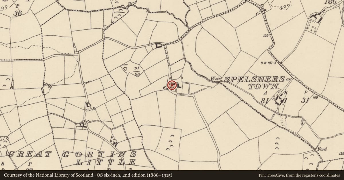 Ordnance Survey six-inch map, 2nd edition (1888–1915) covering the location of Castle - tower house, Newcastle, County Wexford, with a pin at the register's coordinates