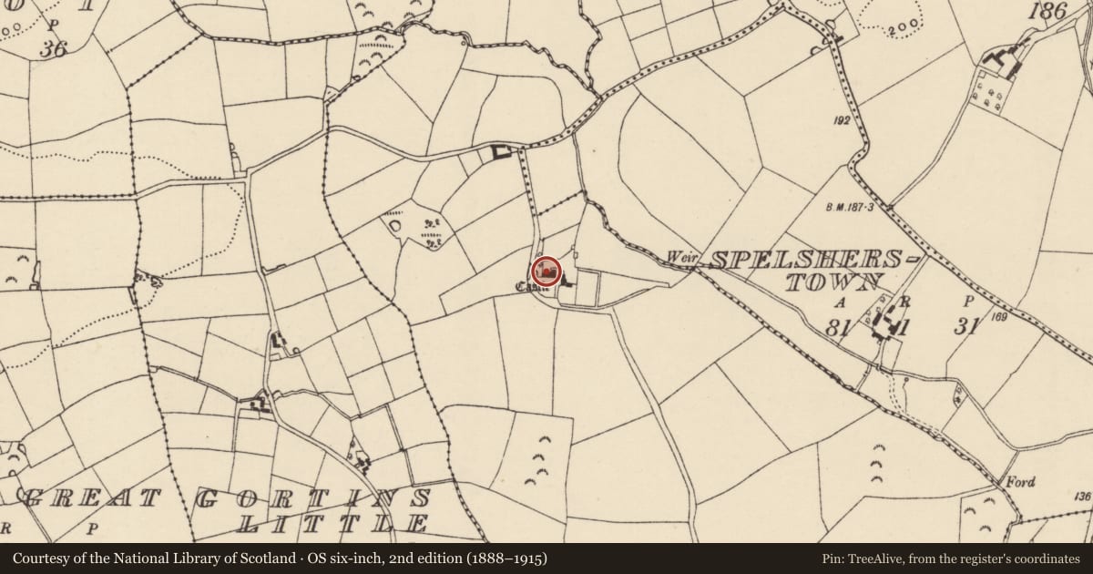 Ordnance Survey six-inch map, 2nd edition (1888–1915) covering the location of Bawn, Newcastle, County Wexford, with a pin at the register's coordinates