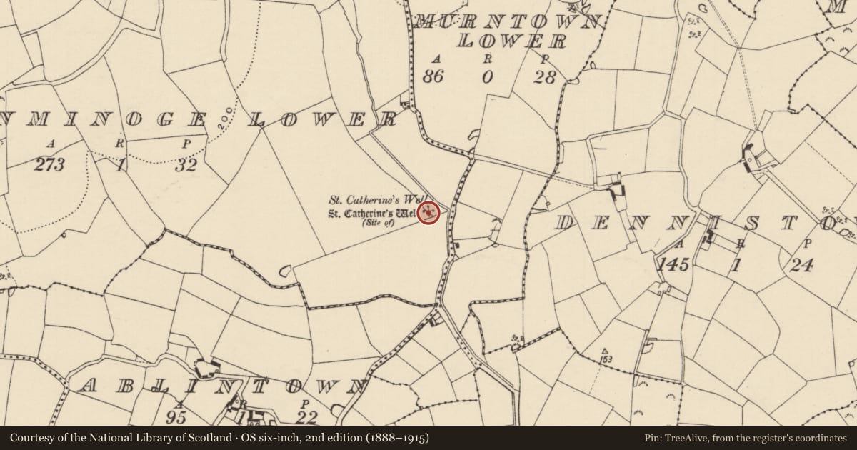 Ordnance Survey six-inch map, 2nd edition (1888–1915) covering the location of Ritual site - holy well, Gorteenminoge Lower, County Wexford, with a pin at the register's coordinates