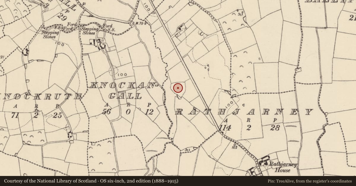 Ordnance Survey six-inch map, 2nd edition (1888–1915) covering the location of Enclosure, Rathjarney, County Wexford, with a pin at the register's coordinates