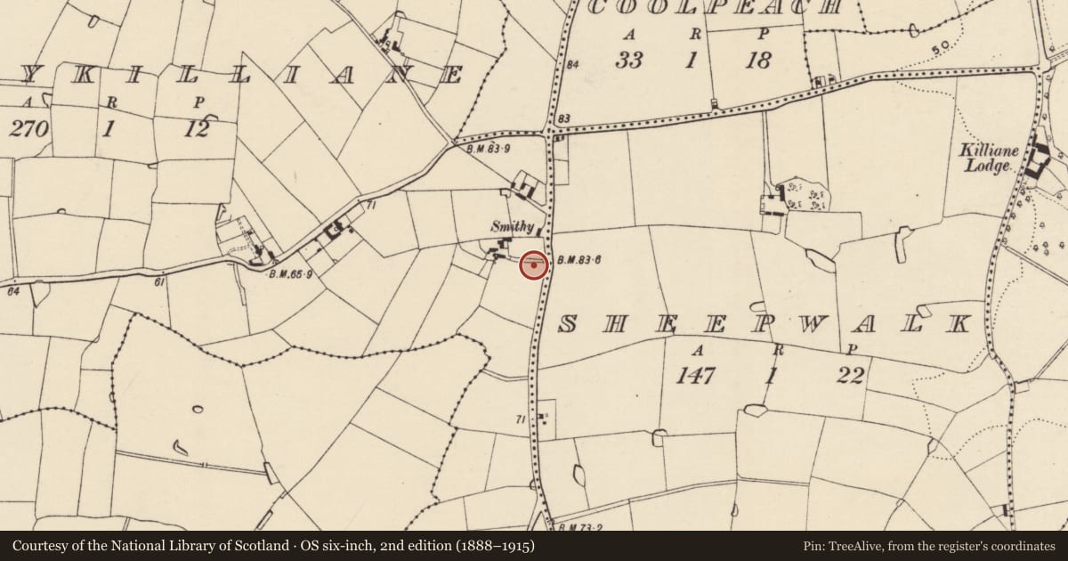 Ordnance Survey six-inch map, 2nd edition (1888–1915) covering the location of Windmill, Ballykilliane, Sheepwalk, County Wexford, with a pin at the register's coordinates