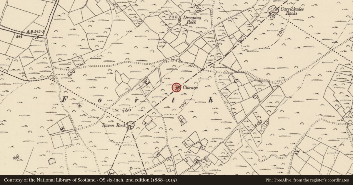 Ordnance Survey six-inch map, 2nd edition (1888–1915) covering the location of Cairn - unclassified, County Wexford, with a pin at the register's coordinates