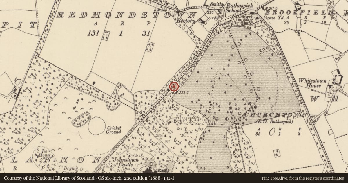 Ordnance Survey six-inch map, 2nd edition (1888–1915) covering the location of Barrow - unclassified, Johnstown, County Wexford, with a pin at the register's coordinates