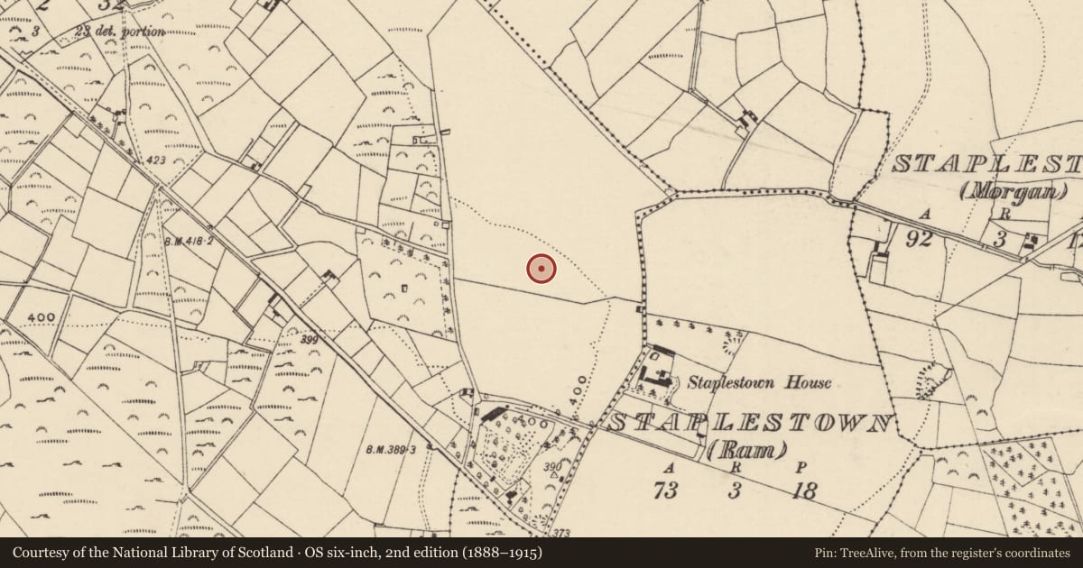 Ordnance Survey six-inch map, 2nd edition (1888–1915) covering the location of Standing stone, Forth Commons, County Wexford, with a pin at the register's coordinates