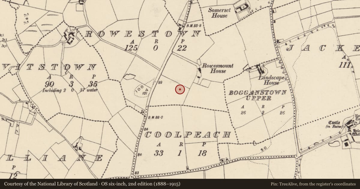 Ordnance Survey six-inch map, 2nd edition (1888–1915) covering the location of Ringfort - rath, Rowestown, County Wexford, with a pin at the register's coordinates