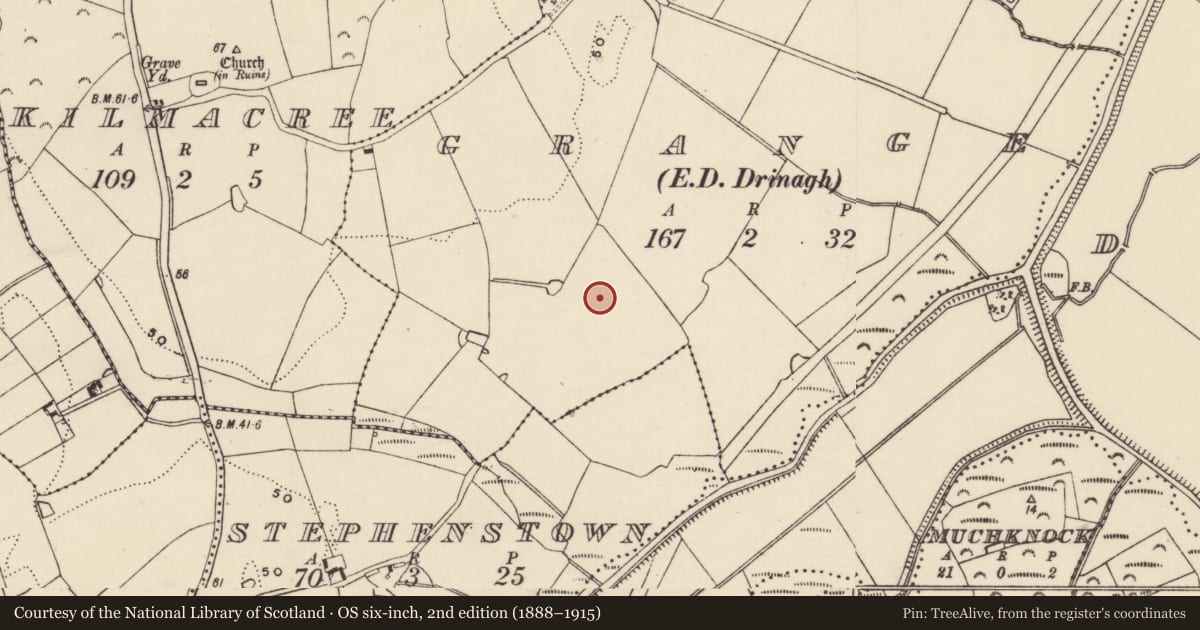 Ordnance Survey six-inch map, 2nd edition (1888–1915) covering the location of Ringfort - rath, Grange, County Wexford, with a pin at the register's coordinates