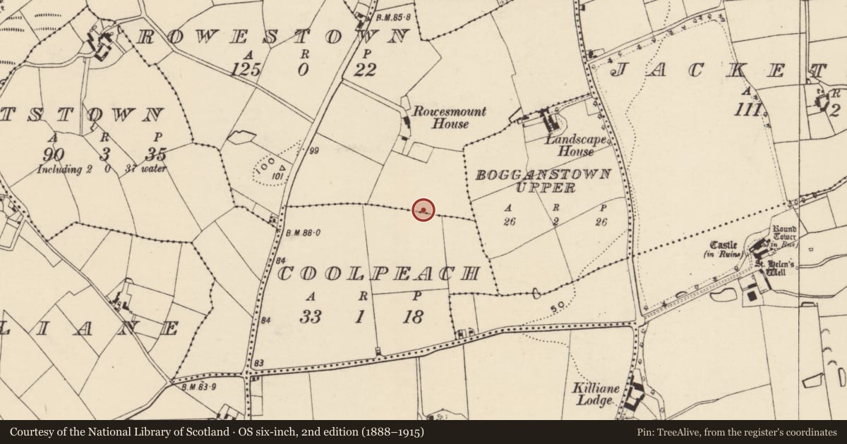 Ordnance Survey six-inch map, 2nd edition (1888–1915) covering the location of Ringfort - rath, Coolpeach, Rowestown, County Wexford, with a pin at the register's coordinates