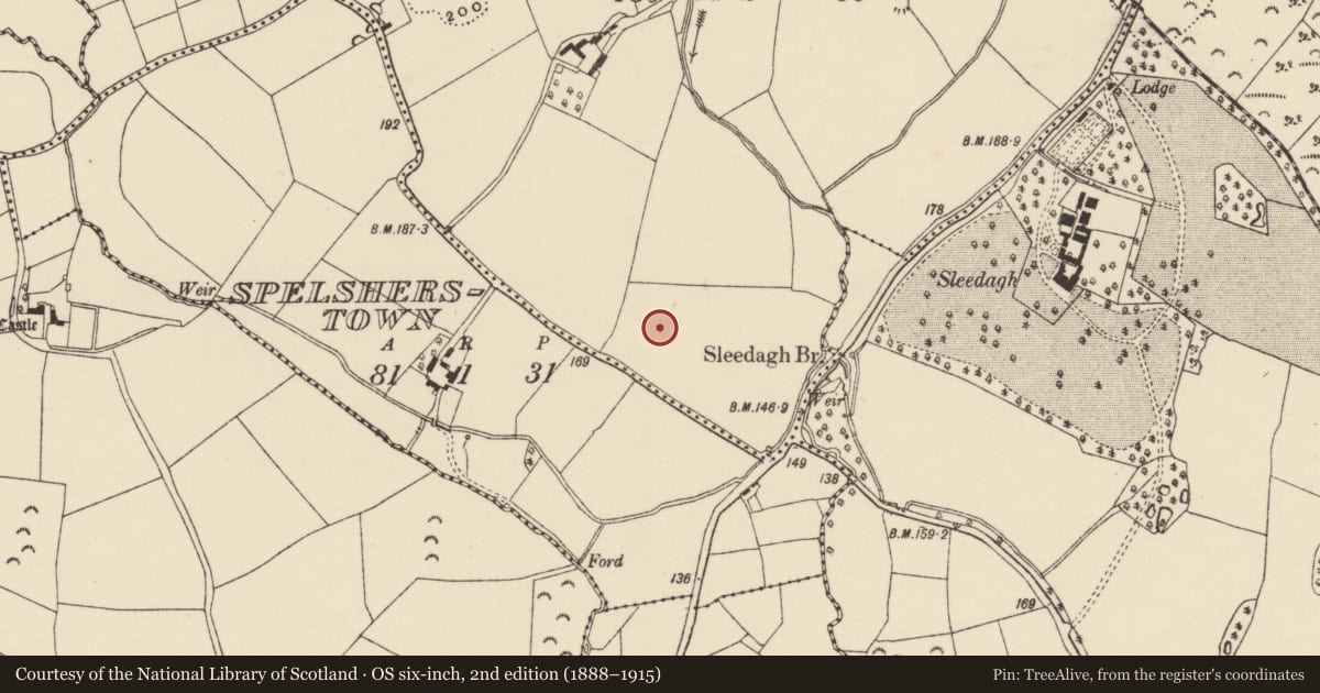 Ordnance Survey six-inch map, 2nd edition (1888–1915) covering the location of Enclosure, Gaynestown, County Wexford, with a pin at the register's coordinates