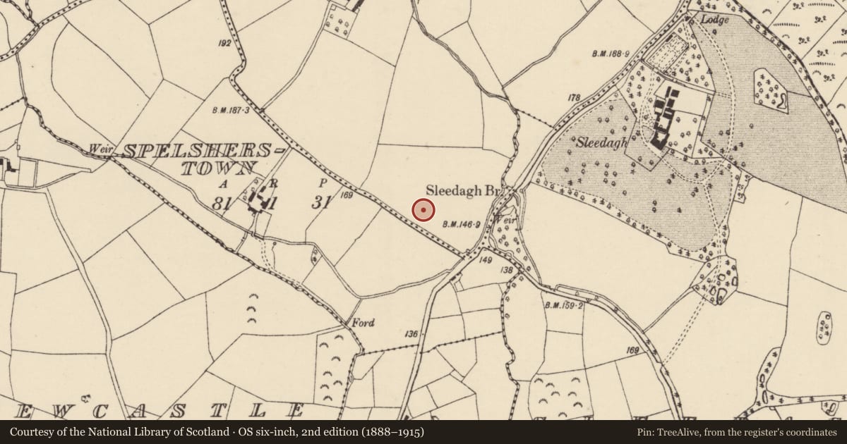 Ordnance Survey six-inch map, 2nd edition (1888–1915) covering the location of Ringfort - rath, Gaynestown, County Wexford, with a pin at the register's coordinates