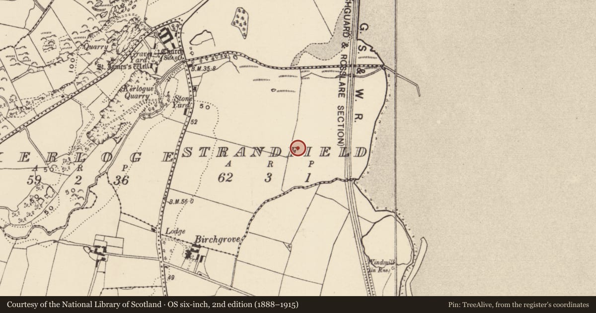 Ordnance Survey six-inch map, 2nd edition (1888–1915) covering the location of Fulacht fia, Strandfield, County Wexford, with a pin at the register's coordinates